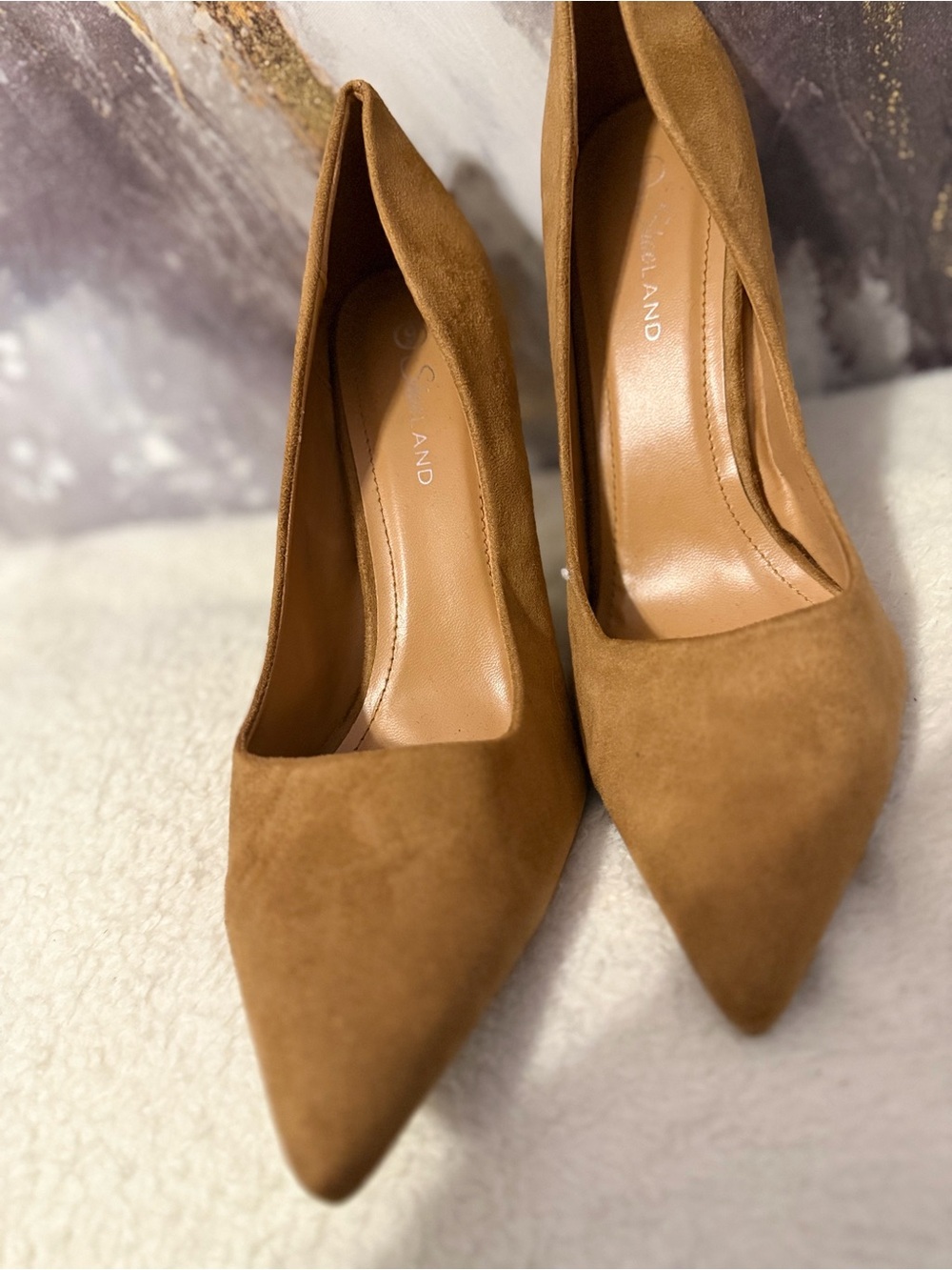 Suede Pointed-Toe Pumps in Camel